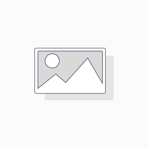 Test P (copy)